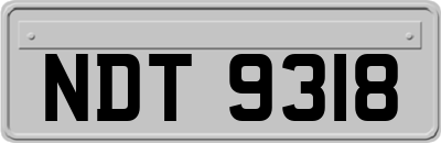 NDT9318
