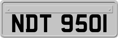 NDT9501