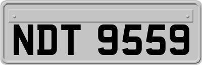 NDT9559
