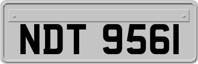 NDT9561