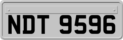 NDT9596