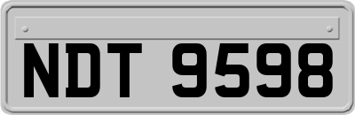 NDT9598