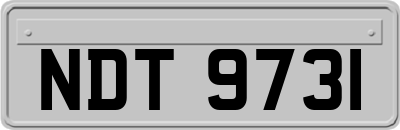 NDT9731