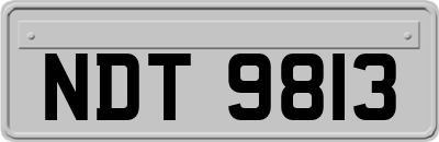 NDT9813