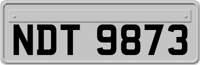 NDT9873