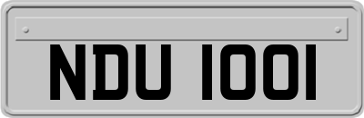 NDU1001