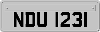 NDU1231