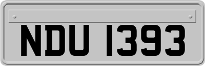 NDU1393
