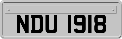 NDU1918