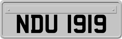 NDU1919