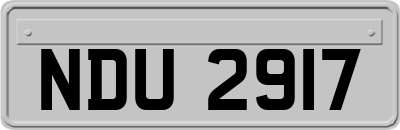NDU2917