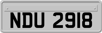 NDU2918