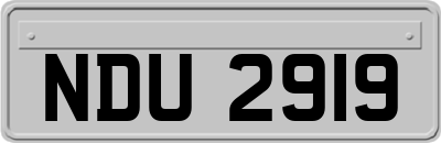 NDU2919