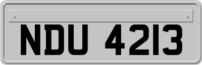 NDU4213