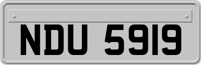 NDU5919
