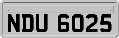 NDU6025