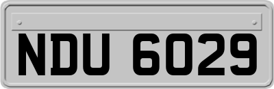 NDU6029