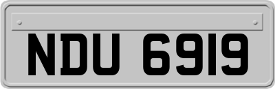 NDU6919