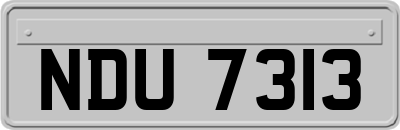 NDU7313
