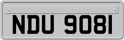 NDU9081