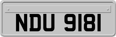 NDU9181