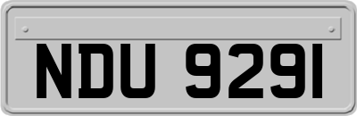NDU9291