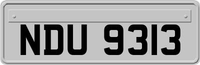 NDU9313