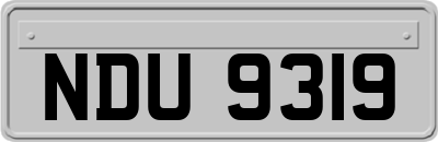 NDU9319