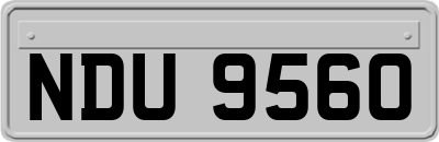 NDU9560