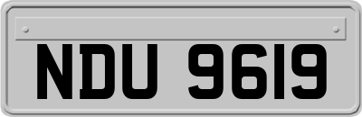NDU9619