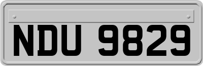 NDU9829