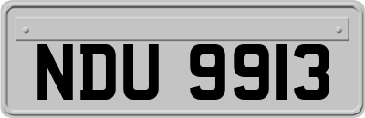 NDU9913