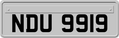 NDU9919