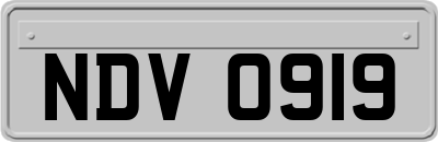 NDV0919