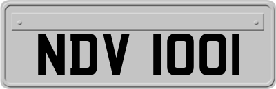 NDV1001