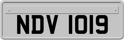 NDV1019