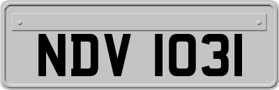 NDV1031