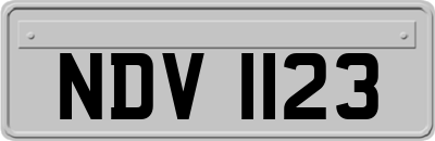 NDV1123