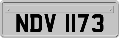NDV1173