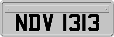 NDV1313