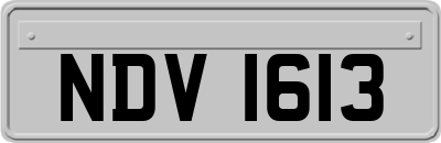NDV1613