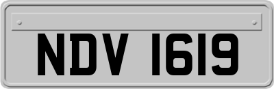 NDV1619
