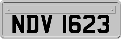 NDV1623