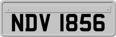NDV1856