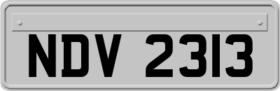 NDV2313