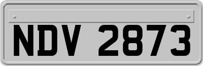 NDV2873
