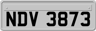 NDV3873