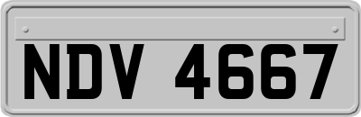 NDV4667