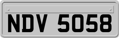 NDV5058