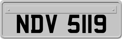 NDV5119